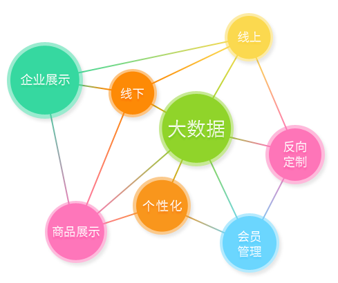 大数据与个性化营销应用等已经形成了多元化电子商务平台建设与