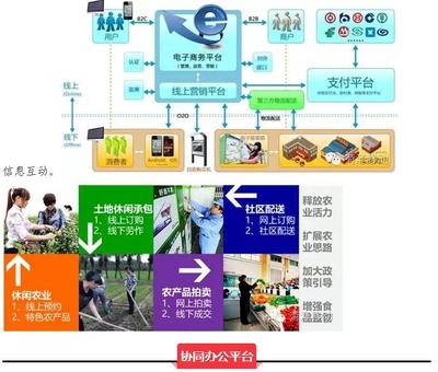 菏泽移动全面推进美丽乡村建设_焦点新闻_大众网