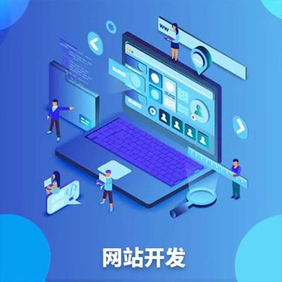 电子商务平台建设