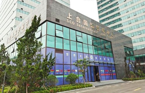 1小时成交115万 这场直播火了