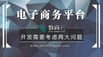 电子商务平台开发需要考虑两大问题