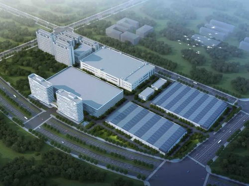 实地观摩 击鼓扬帆风正劲 项目建设战犹酣