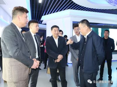 中共瑞安市委副书记、市长秦肖莅临戈尔德开展“三服务”活动